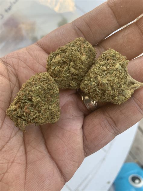 X Haze Marijuana Strain Information & Reviews .